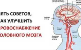 Как улучшить кровообращение мозга?