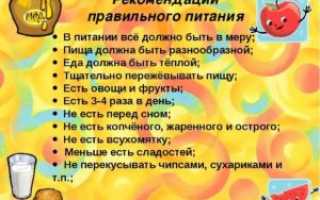 Собираем ребенка в школу: советы по правильному питанию