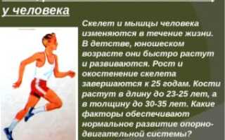 8 видов физических упражнений для укрепления скелета