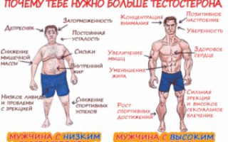 Низкий уровень тестостерона: как он дает о себе знать?