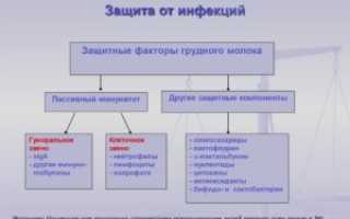 Защита от инфекций (продолжение…)