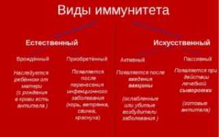 Общая характеристика, виды и формы иммунитета