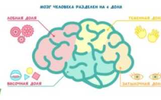 Тренируйте свой мозг с помощью упражнений